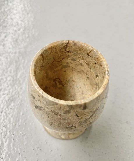 Fossil Glass