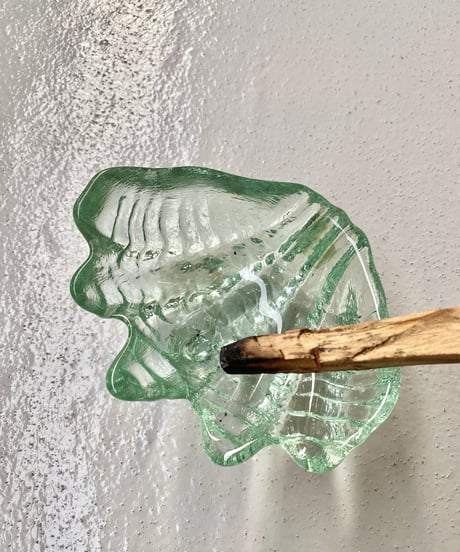 Shell Dish