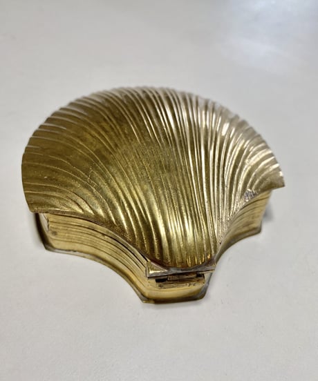 Muschel  -L-