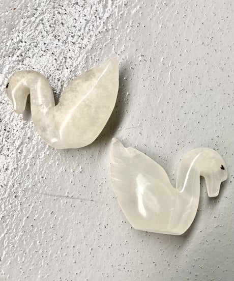 Schwan