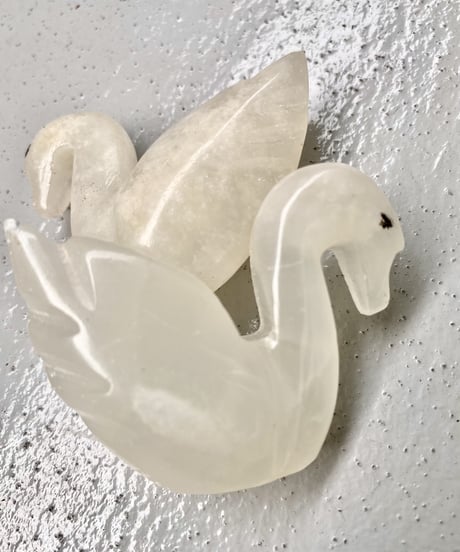 Schwan