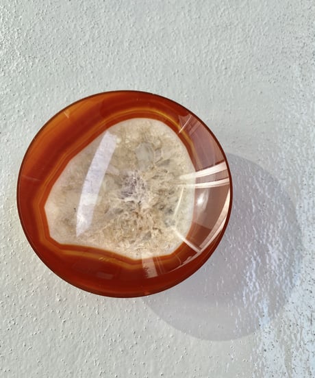 Dish