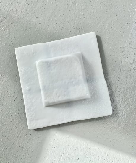 Tray