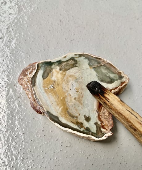 Petrified Wood