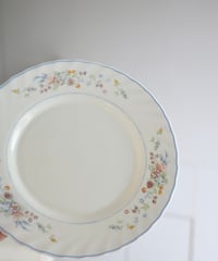 Dinner Plate