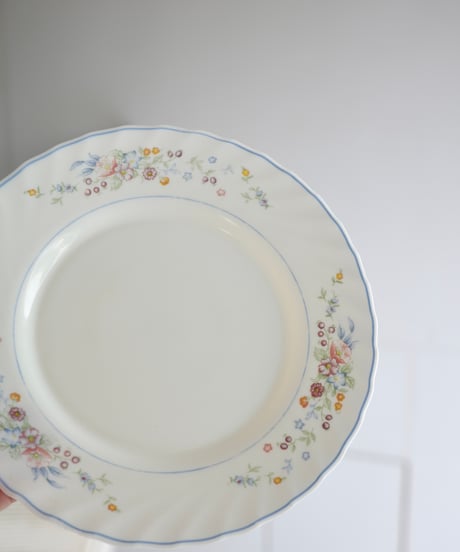 Dinner Plate