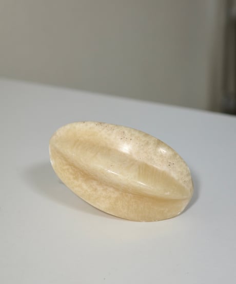 fruit