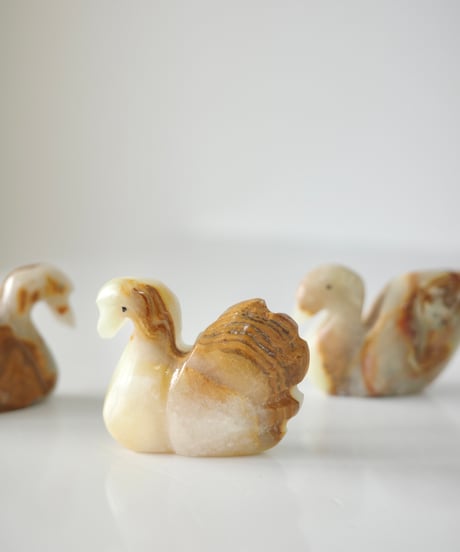 Schwan -S-
