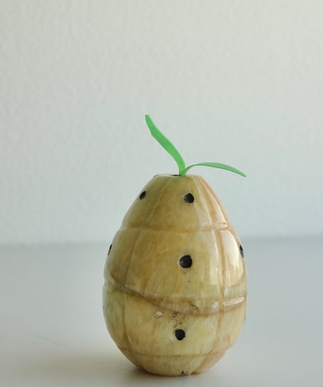 Pomona🍐🥥