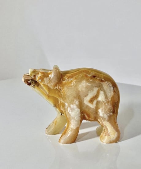 Bear