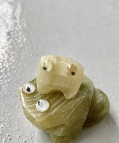 Frog  -S-