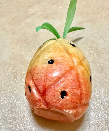 Pomona🍐🥥