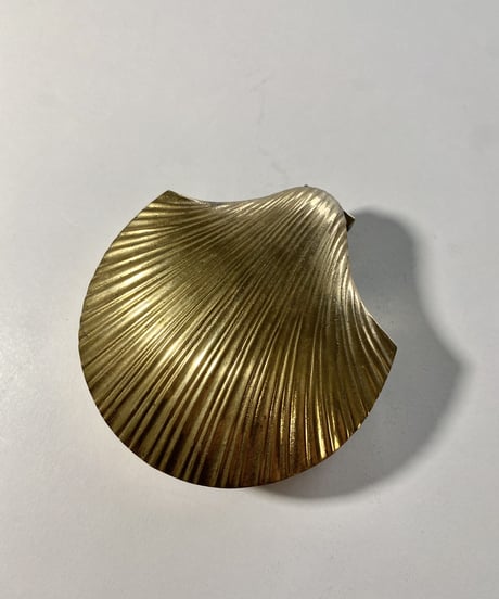 Muschel  -L-