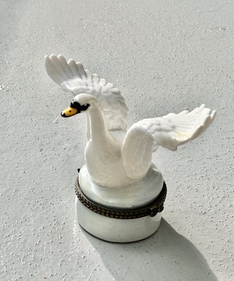 Schwan