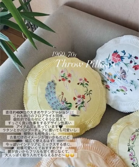 Throw Pillow