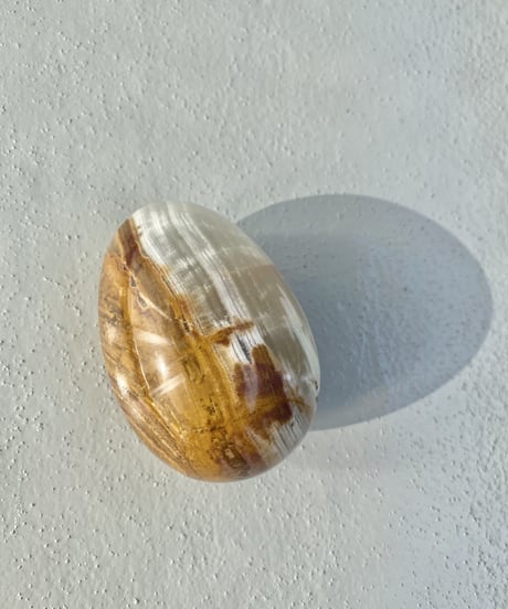 Egg