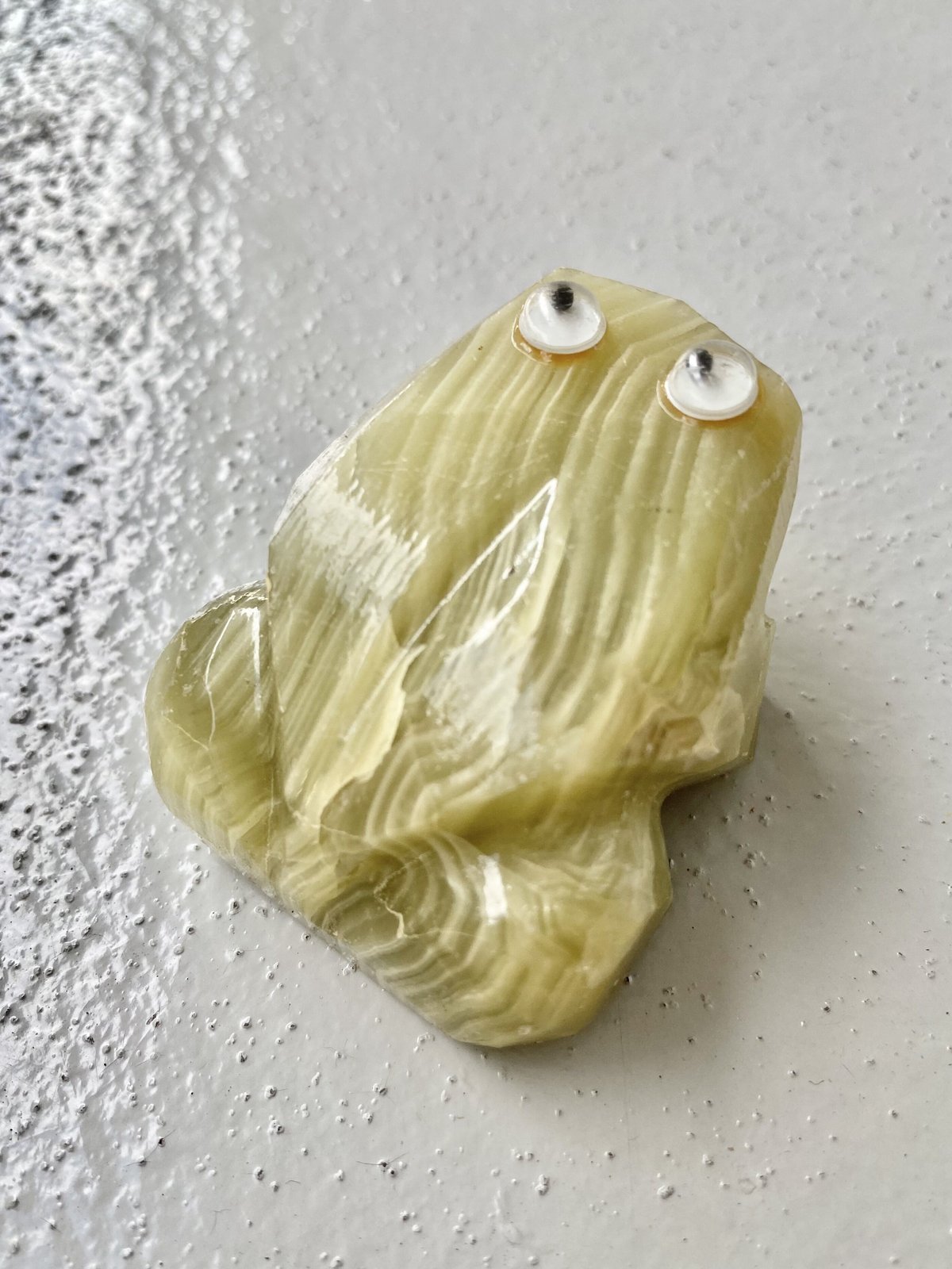 カエルページ 博物画,カエル