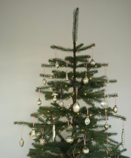 Ornament🎄S1