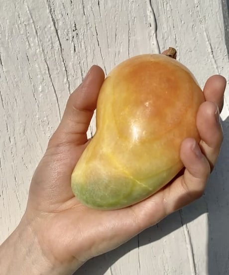 Pomona🍐🥥