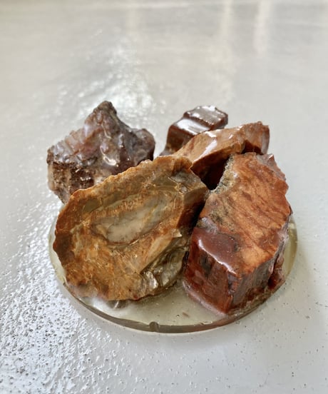 Sculpture (Petrified)