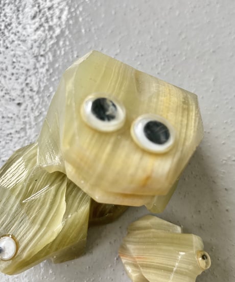 Frog  -L-
