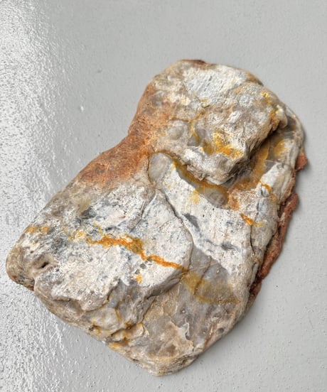 Petrified Wood
