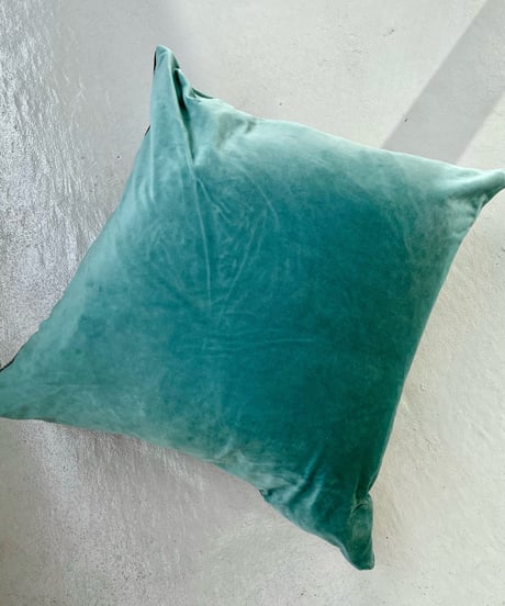 Throw Pillow  XL