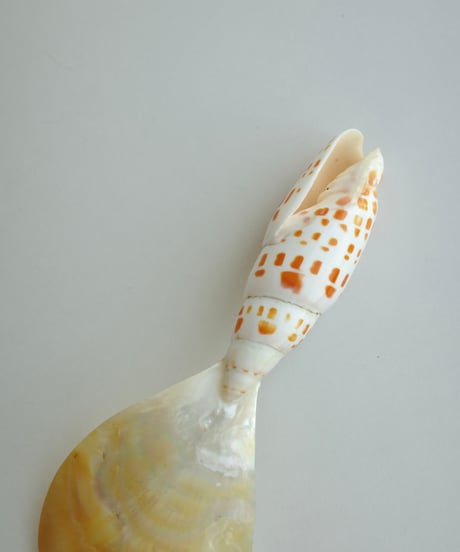 Cutlery