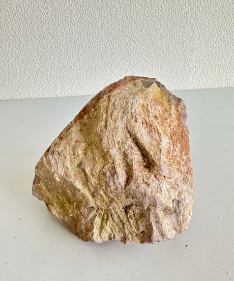 Beleben