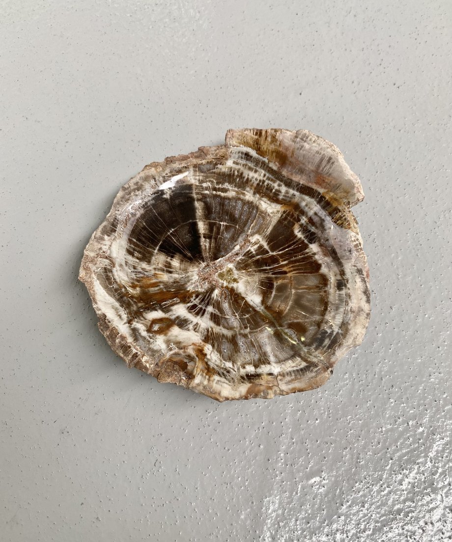 6210d49a72c5de557d5bb048