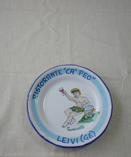 Dinner Plate