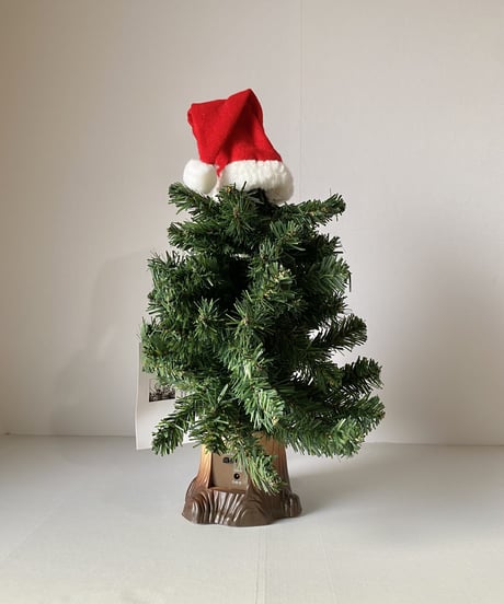 Douglas Fir  -L-