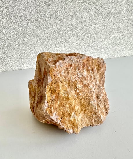Beleben