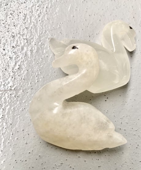 Schwan