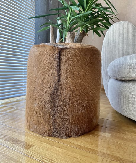 Stool