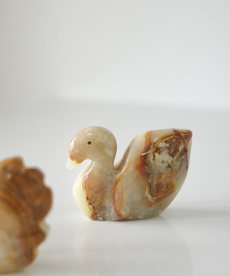 Schwan -S-