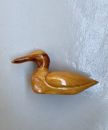 Anatra