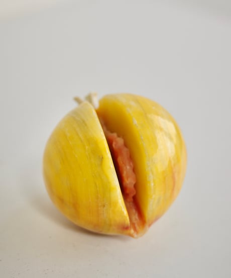 Pomona🍐🥥