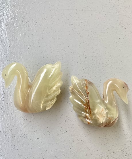 Schwan