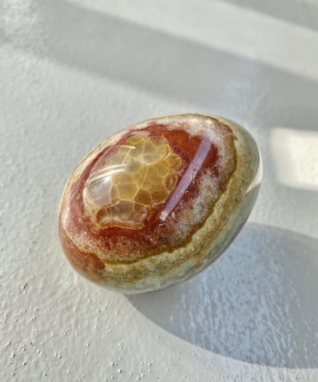 Egg