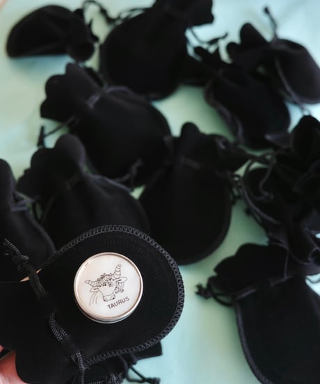 Zodiac Pill Case