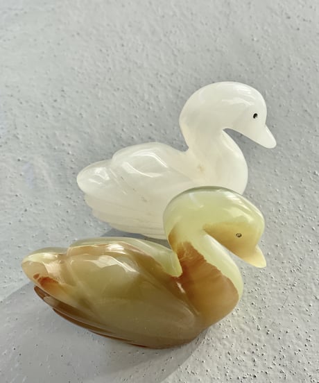Schwan -M-