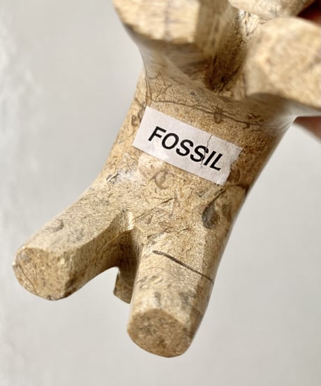 Fossil Stone