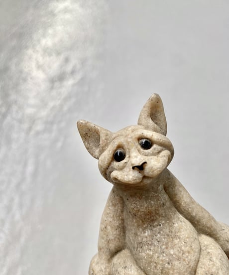 Kitty Cat