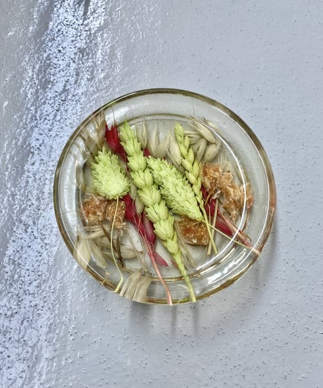 Resin Tray