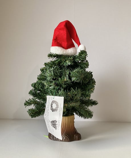 Douglas Fir  -L-