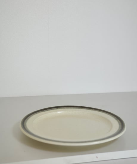 Dinner Plate