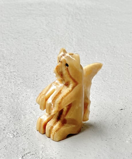 Squirre