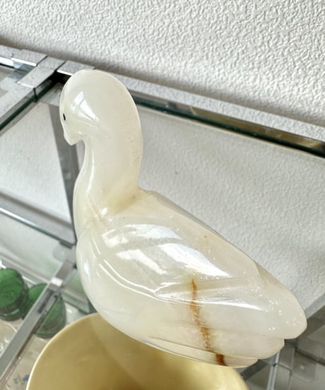 Schwan -M-
