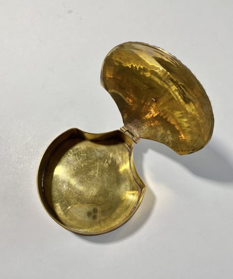 Muschel  -L-